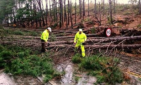 atuacao da pmrv em sc 418 20200701 1798861893