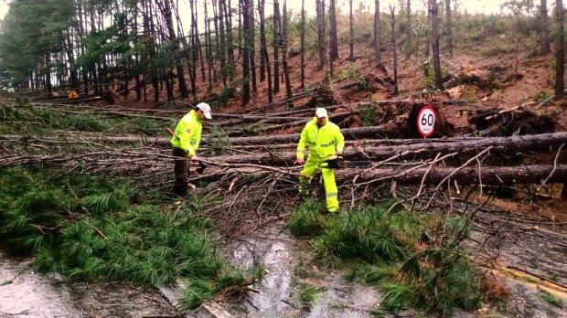 atuacao da pmrv em sc 418 20200701 1798861893
