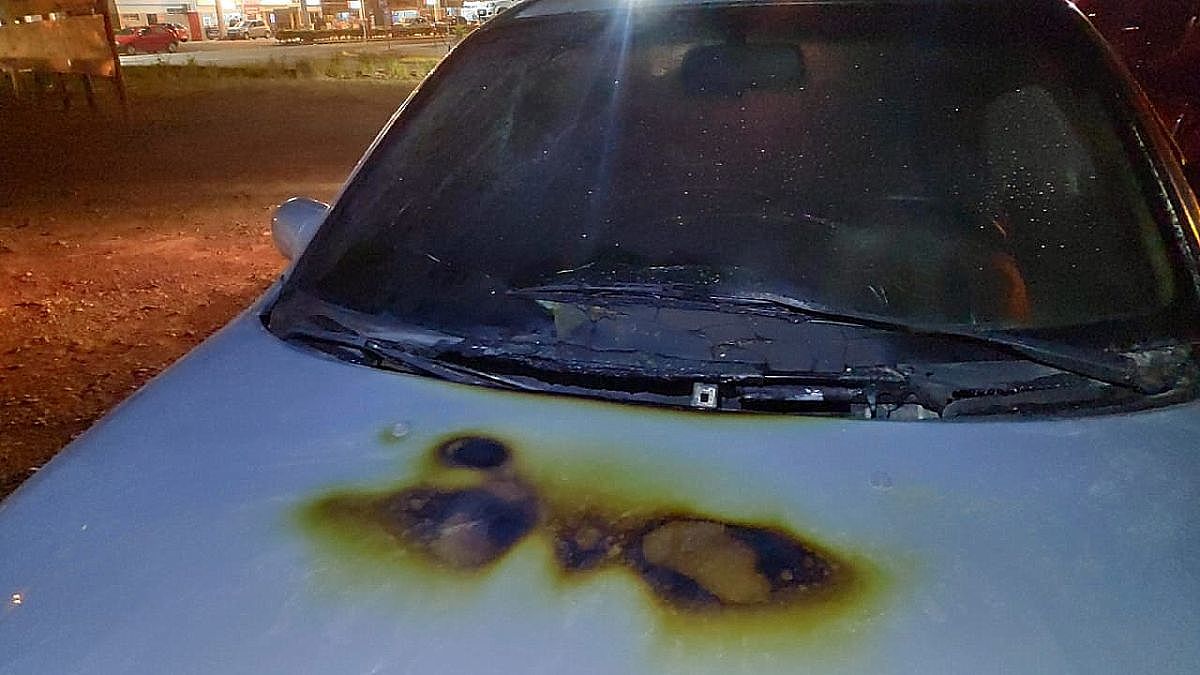 WhatsApp Image 2020 08 01 at 21.30.54 2