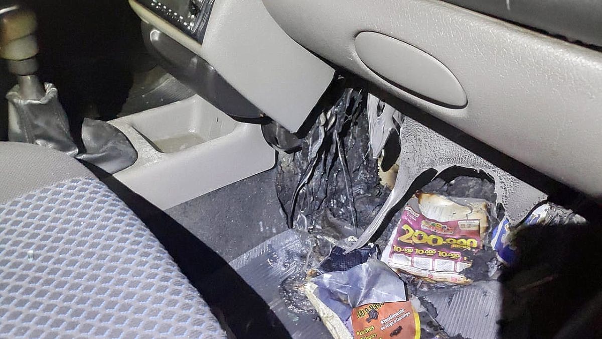 WhatsApp Image 2020 08 01 at 21.30.55 1