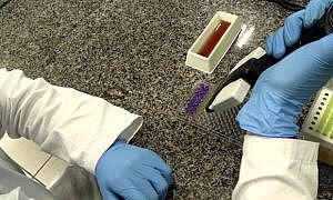 pesquisa da unesc sobre covid 19 20200824 1774003101