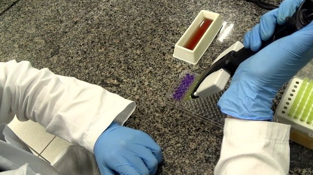 pesquisa da unesc sobre covid 19 20200824 1774003101