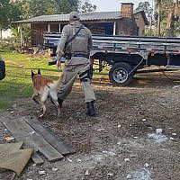 Divisa II: policiais militares de Forquilhinha mobilizados na operação 16 Oper 2