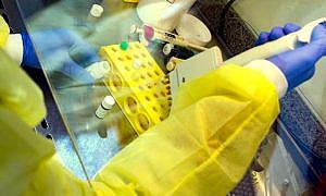 laboratorio 20201009 1679774902