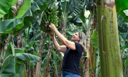 Adriana Rosso Divulgacao Sicredi