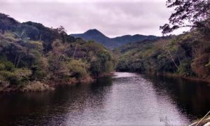 rio vargem do braco 20210114 1348235127