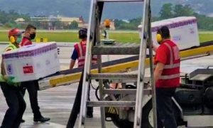 vacinas coronavac chegam a florianopolis 20210125 1502078201