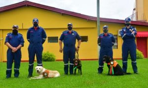 caes do cbmsc 20210204 1280462339