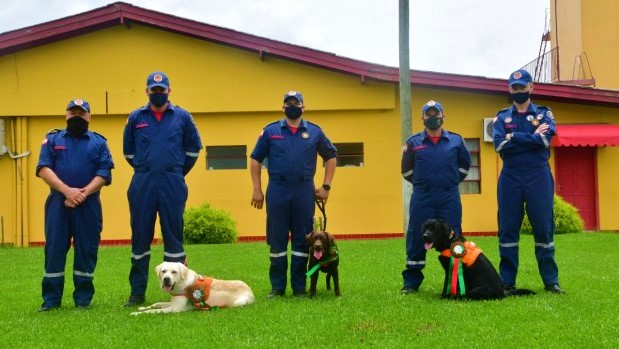 caes do cbmsc 20210204 1280462339