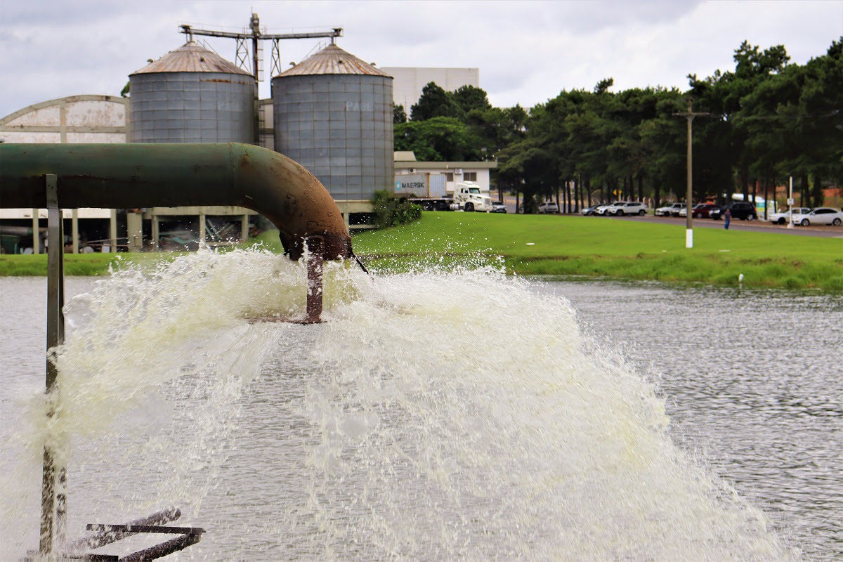 Dia Mundial da Agua Fumacense Alimentos 3
