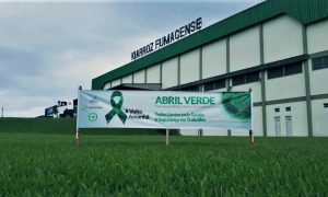 Abril Verde Fumacense Alimentos 1