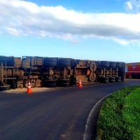 WhatsApp Image 2021 04 03 at 17.44.12