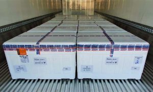 51177984355 ddd1564fee o