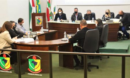 Vereadores solicitam atendimento presencial no cartorio 2