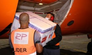 chegada da vacina 18 05 20210518 1515942739