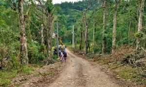 reforma rede caravaggio maio 2021