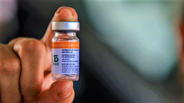 Covid Vacina, programa