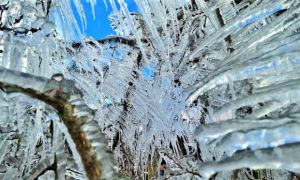 sao joaquim frio gelo 20210728 1199222312