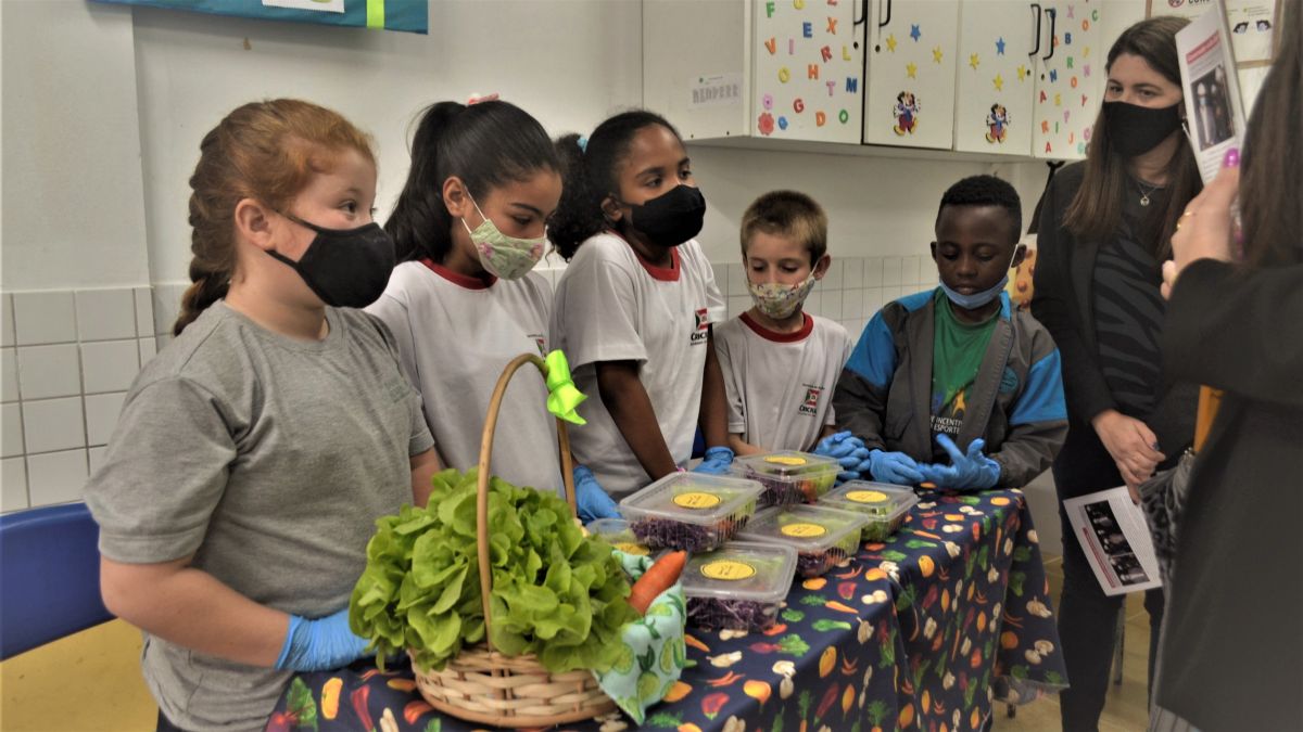 Mostradeprojetos2 1808 Anaguidi