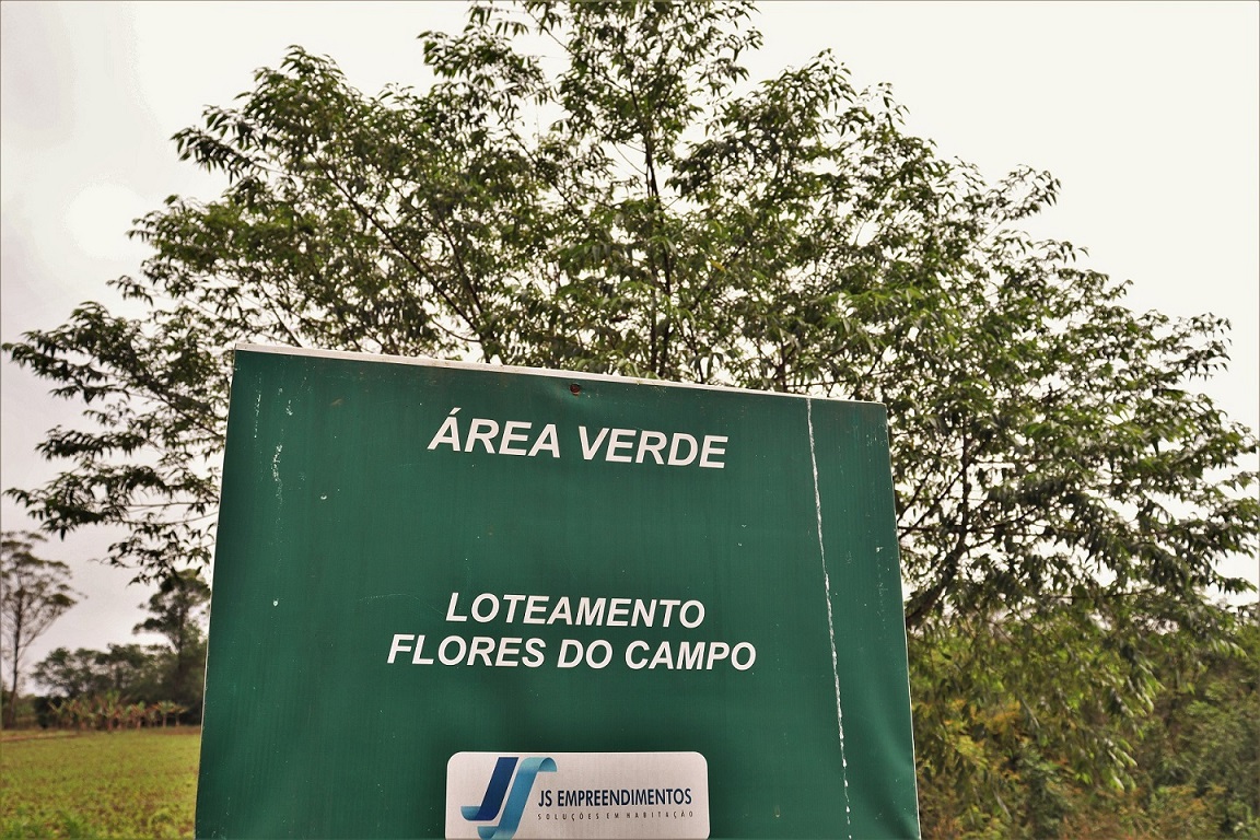 Dia da Arvore JS Empreendimentos 1