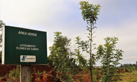 Dia da Arvore JS Empreendimentos 2