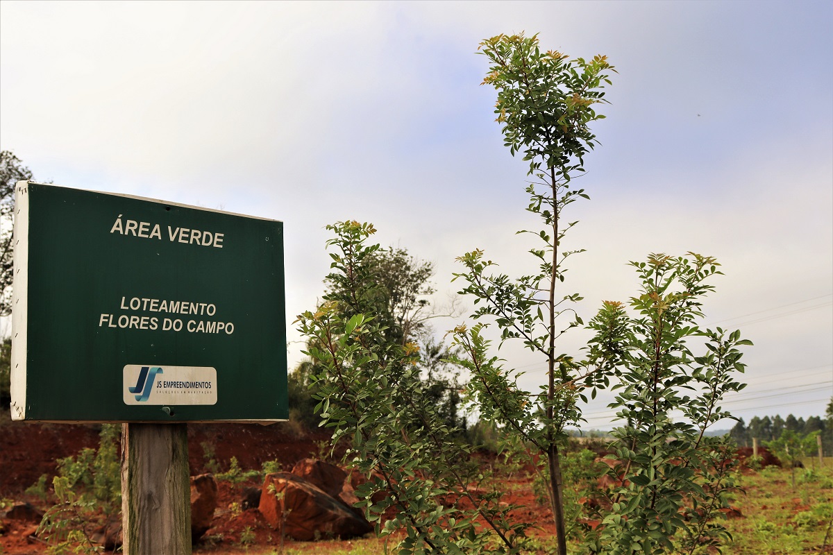 Dia da Arvore JS Empreendimentos 2