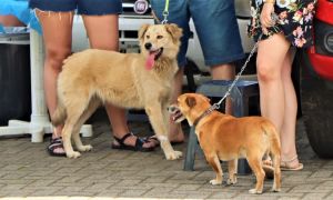 3fd8dec3 d18a 487e af64 e54aef7bae9e