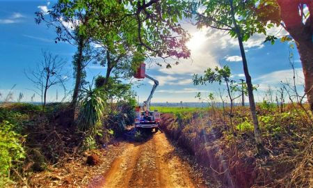 Vegetacao na rede 02