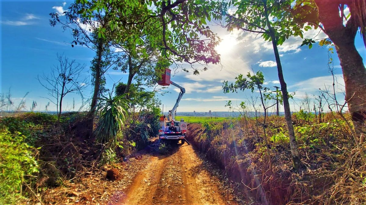 Vegetacao na rede 02