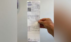 InShot 20220210 161234276