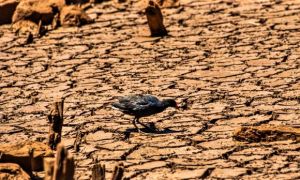 estiagem seca oeste de santa catarina 20220207 1870983839