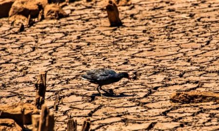 estiagem seca oeste de santa catarina 20220207 1870983839