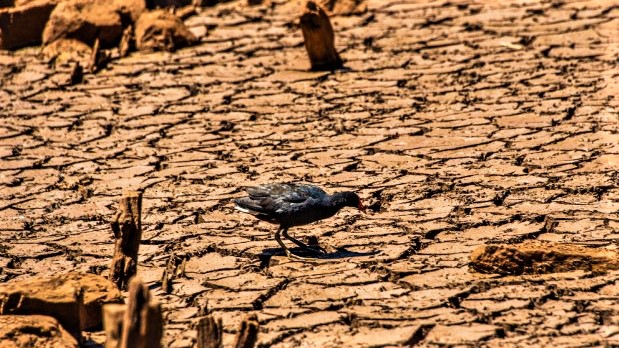estiagem seca oeste de santa catarina 20220207 1870983839