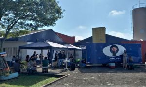 Castracao Vila Lourdes