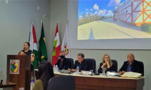 Josi Moro coordenadora dos Clubes de Maes