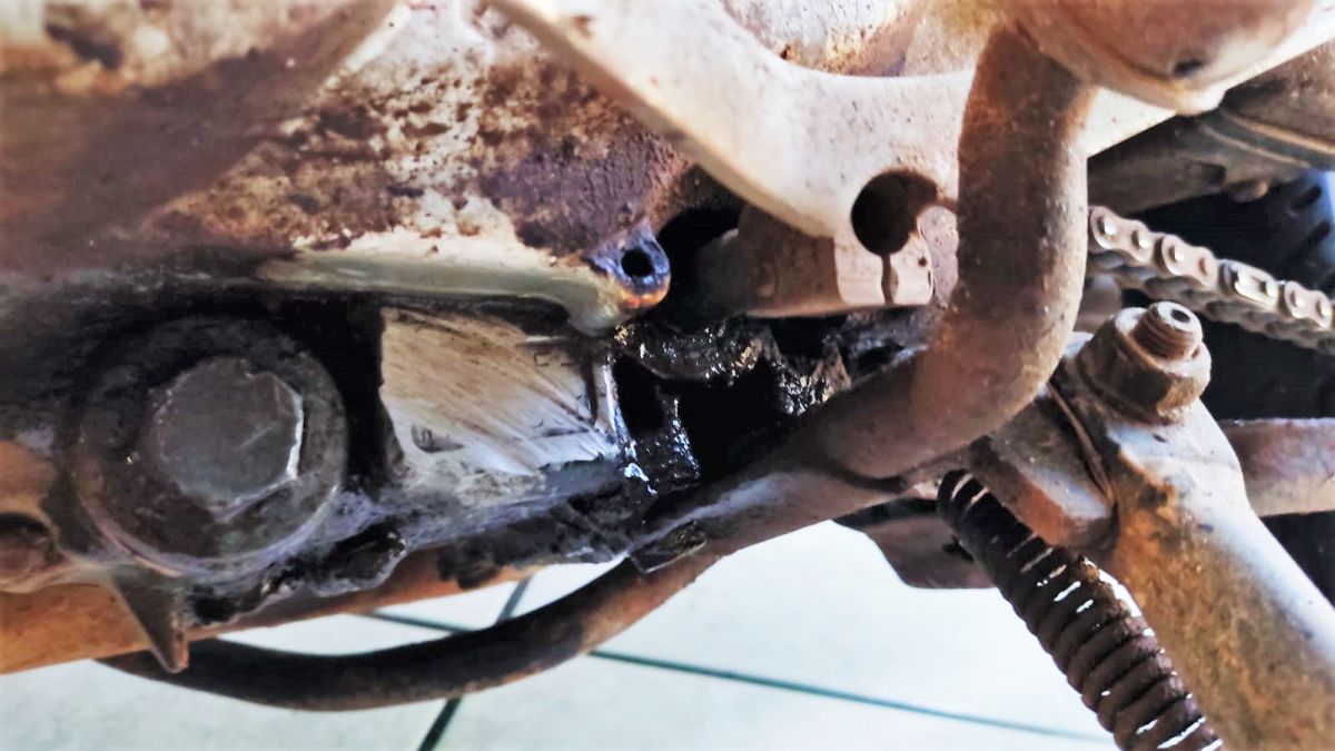 WhatsApp Image 2022 03 16 at 8.24.12 PM 1