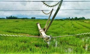 estragos na rede 2022