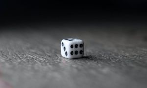 pexels photo 4052295