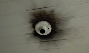 WhatsApp Image 2022 06 21 at 11.36.17 AM