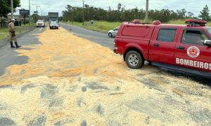 WhatsApp Image 2022 06 26 at 2.54.14 PM 1