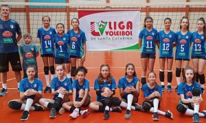 Liga Voleibol