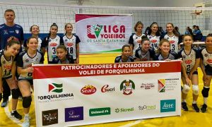 Vôlei APAV Liga