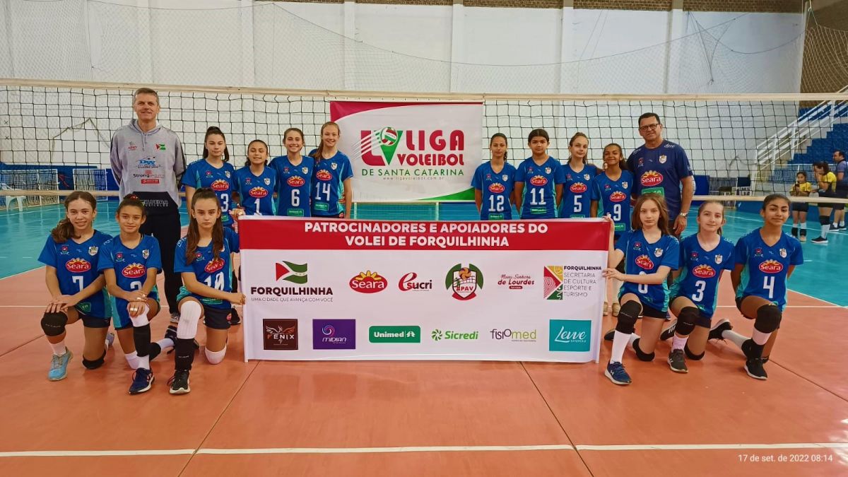Vôlei APAV Liga