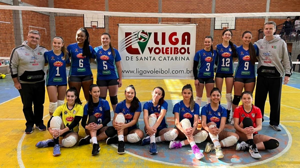 Vôlei
