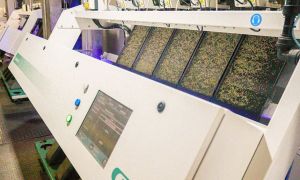 Seleção eletrônica