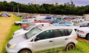 Leilão de Veículos