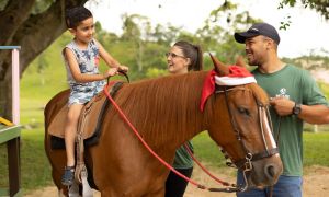 sicredi.com.br/sulsc