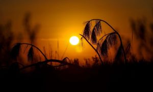 Previsão do Tempo calor