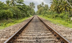 bela foto de trilhos avancando com plantas nos dois lados