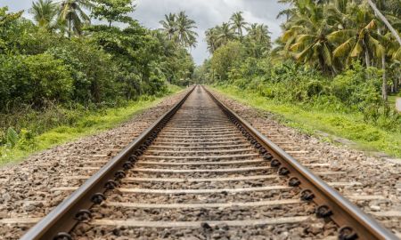 bela foto de trilhos avancando com plantas nos dois lados